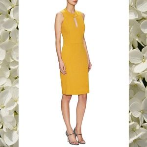 NWOT Pure Navy Yellow Shift Dress Sz. 6